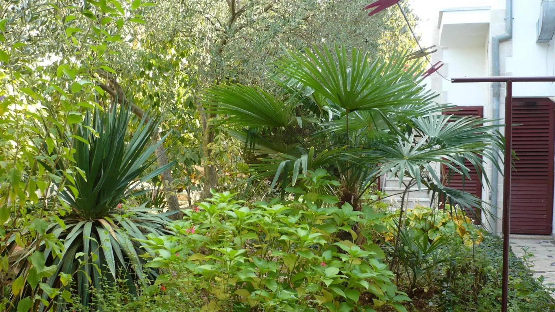 Apartments Finida Porec